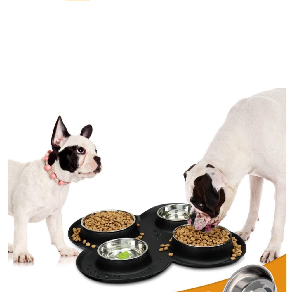 HOST PIC NIB Winsee 4 Dog/cat food bowls set with silicone mat❤️❤️❤️❤️